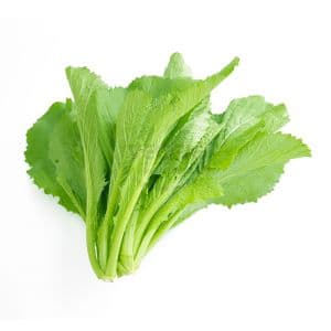 Am Choy 12 Bunch/Box Czech