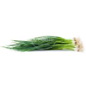 Spring Onion Leaf 30 Bunch/Box Czech