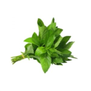Basil Vietnam 30 Bunch/Box Czech