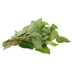 Fish Mint Dap Ca Leaf 15 Bunch/box Czech