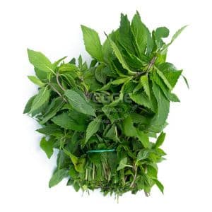 Mint Leaf 15 Bunch/box Czech