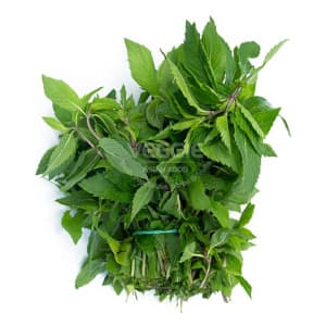 Mint Leaf 30 Bunch/box Czech