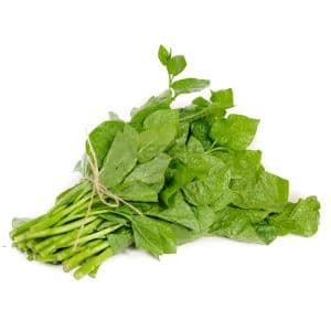 Pak Pang 12 Bunch/Box Czech