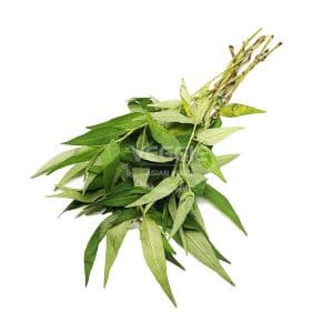 Praew Leaf 15 Bunch/Box Czech