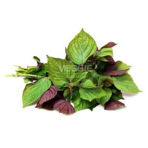 Perila Tia To Leaf 15 Bunch/Box Czech
