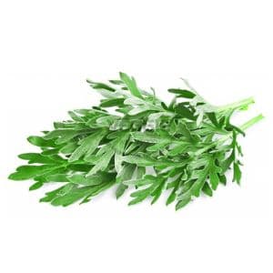 Ngai Cuu Leaf 15 Bunch/Box Czech