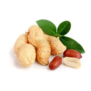 Peanuts Uganda  9.5Kg - 10Kg
