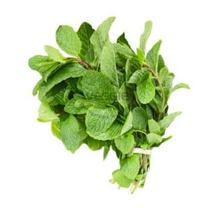 Mint 4Kg/Box Spain
