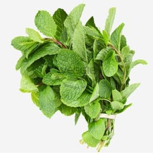 Peppermint 100G