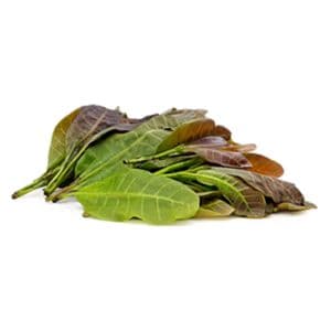 Cashew Leaves 200G