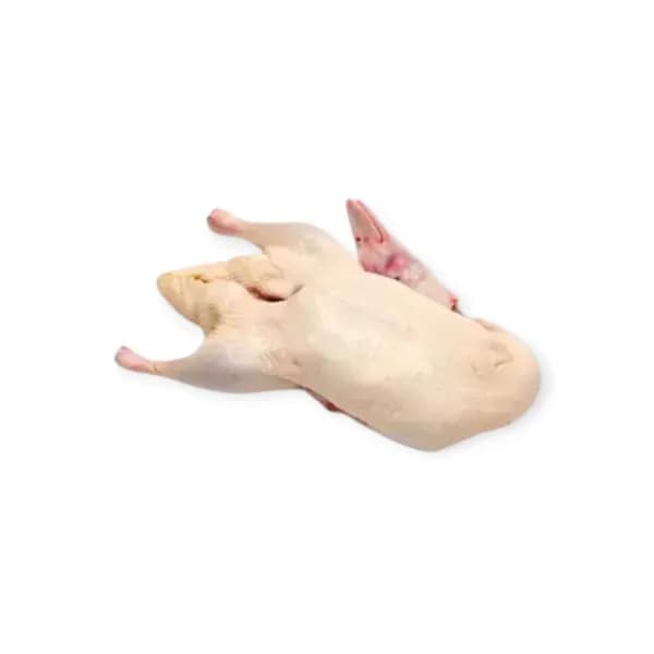 Avigros Fresh Whole Moscovy Duck 3pcs/box France