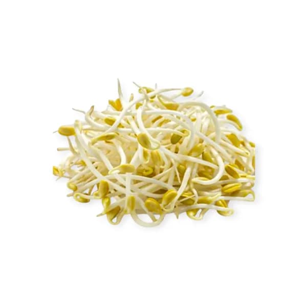 Bean Sprout 10kg