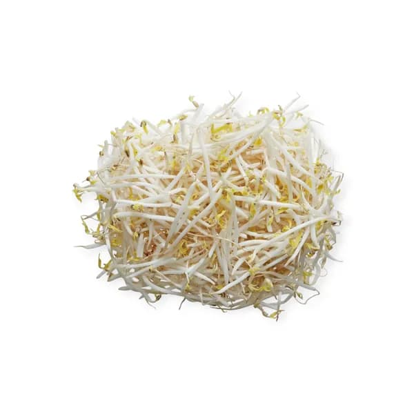 Bean Sprout 5kg/bag Czech