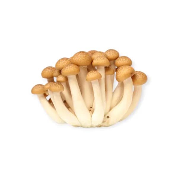 Brown Shimeji China 150g 3kg/box