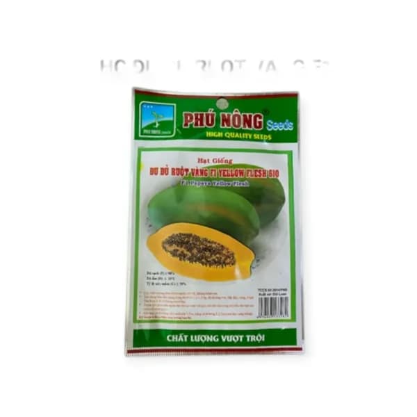 Dried Papaya 100g