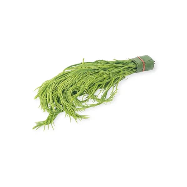 Acacia Leaf 100g