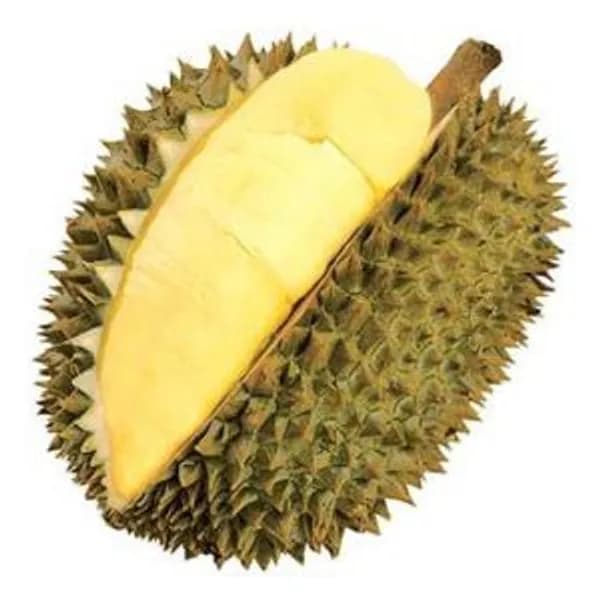 Durian Whole Nok Kra Jib Hard