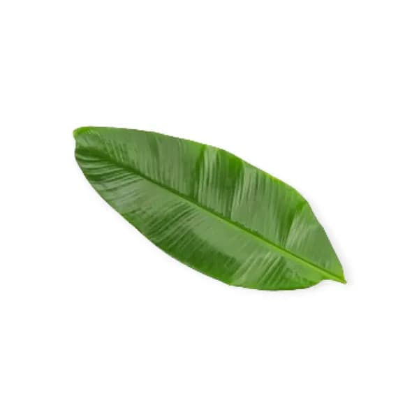 Banana Leaf Thailand 100g