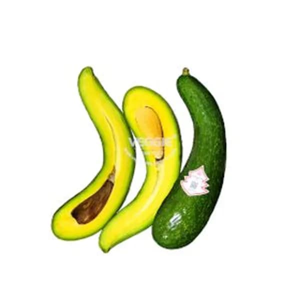 Avocado 304 in Tray