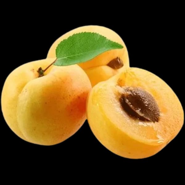 Apricot Forest 1000g