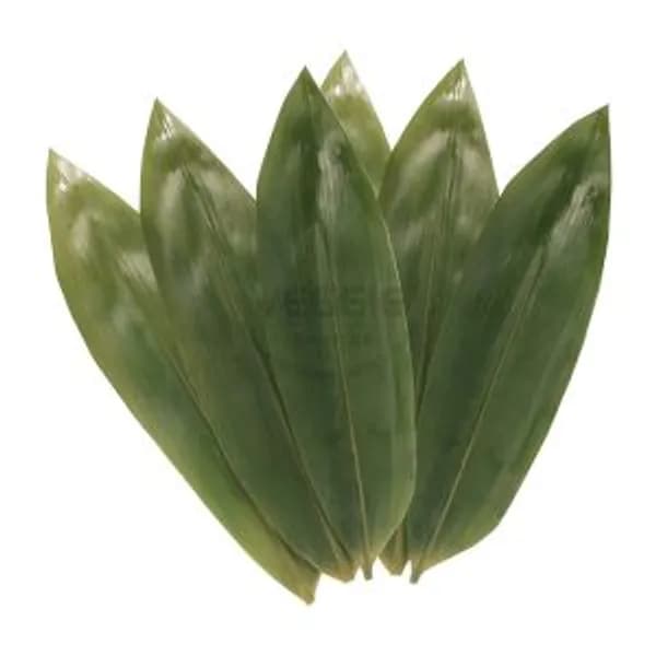 Bamboo Leaves