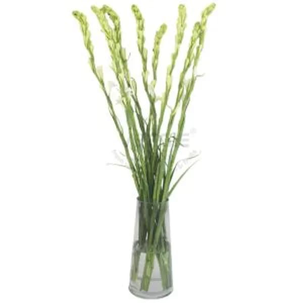 Agave Amica Flower Purple 10pcs/bunch